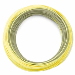 Orvis Hydros Trout Double Taper Line -Rio Shop 1036169 800 auto